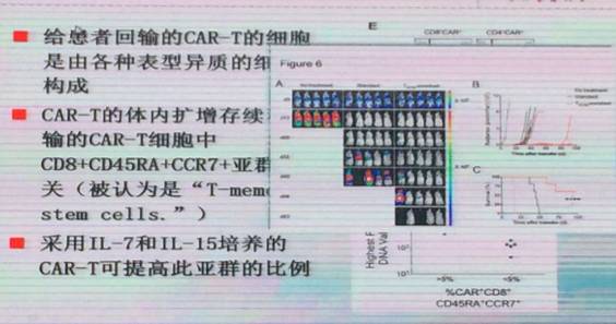 河南120万一针的car-t细胞疗法,120万一针的car-t细胞疗法治疗什么