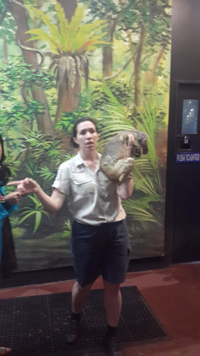 澳大利亚昆士兰自由行攻略,去澳大利亚昆士兰州旅游攻略