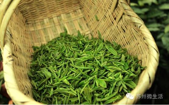 苏州金牌老字号,苏州老字号品牌