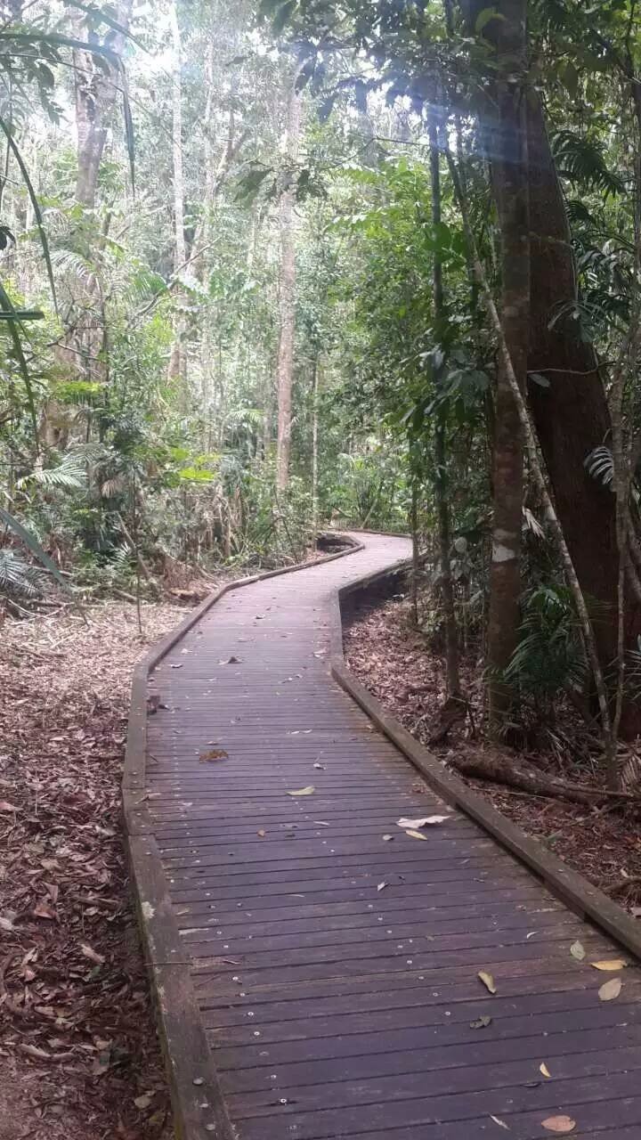 澳大利亚昆士兰自由行攻略,去澳大利亚昆士兰州旅游攻略