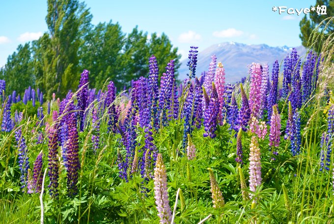 趁年轻我们一起去旅行吧,趁年轻我们一起去旅行