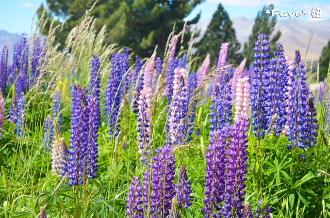 趁年轻我们一起去旅行,趁年轻我们一起去旅行吧