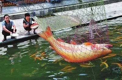 洛阳必吃美食排行榜西工区,洛阳十大必吃美食