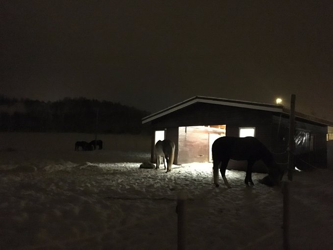 攻略『AURORA的礼赞』rico的特罗姆瑟→奥斯陆6日必见极光之旅（全程公共交通出行）内附极光团和极光DIY猎手详情