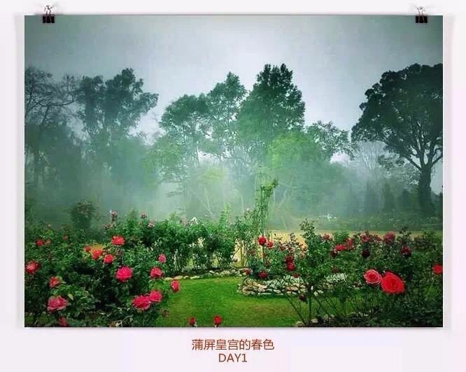 清迈住宿攻略清迈自由行,在清迈