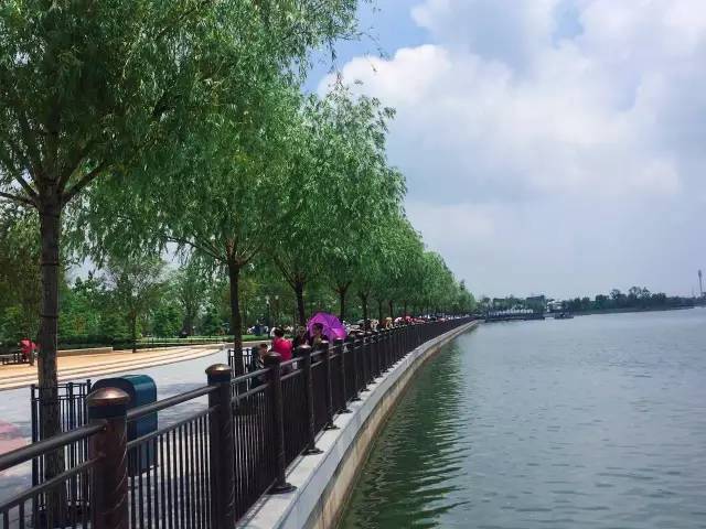 建迪士尼过程,迪士尼建造管理