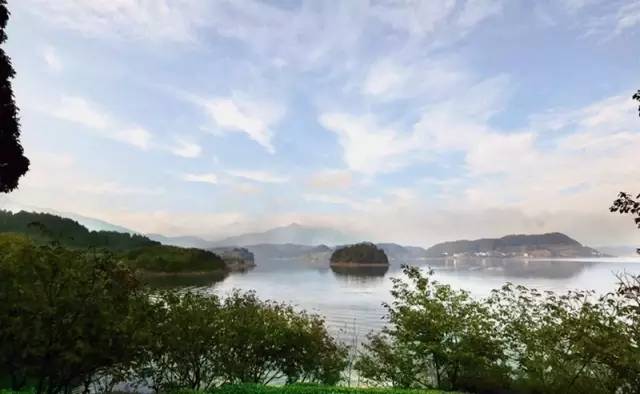 东南第一山私藏浙南最美的风情,浙江山林美宿攻略