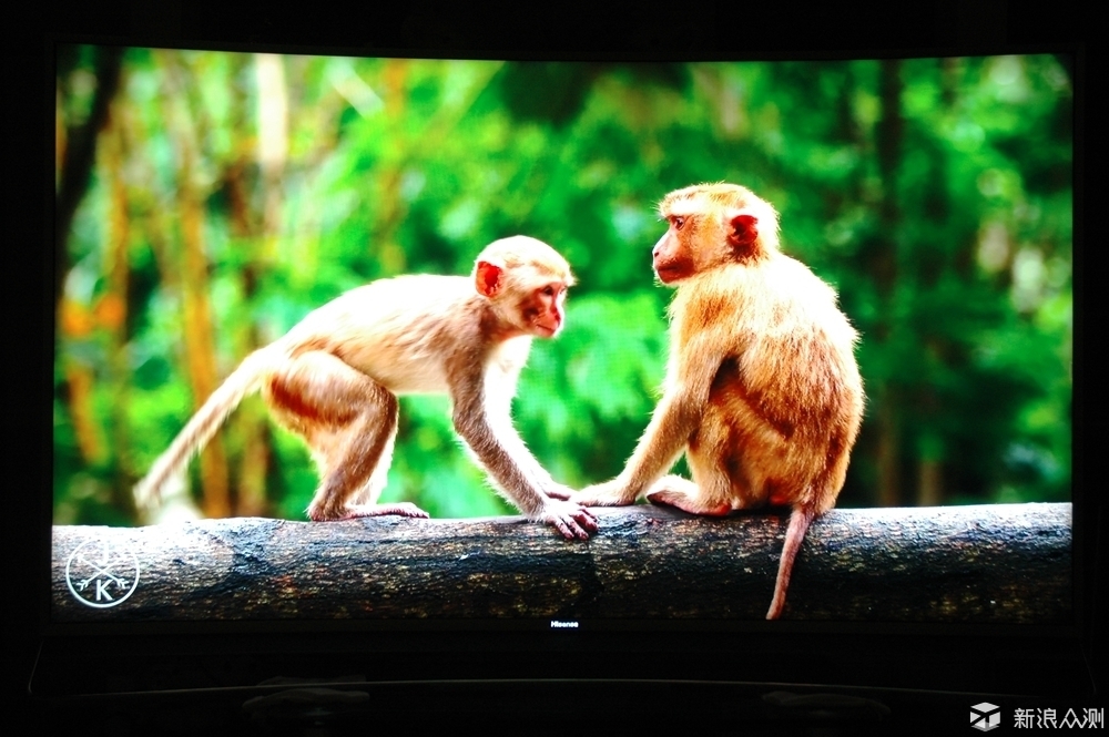 海信电视uled曲面怎么样,用曲面显示器玩地平线