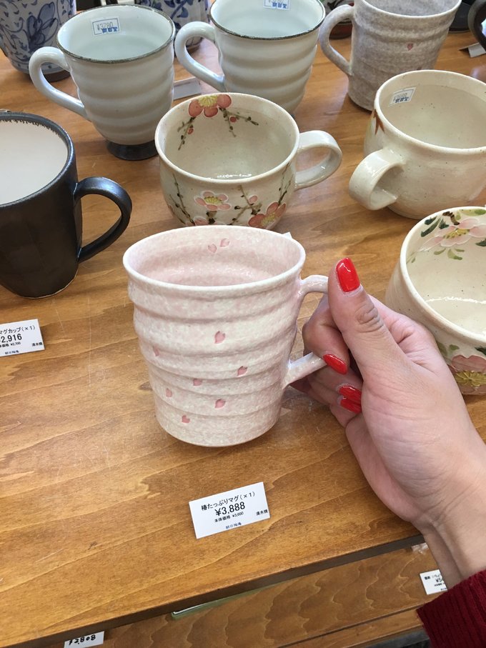 16年,关西(大阪,奈良,京都,宇治)樱花,甲子园