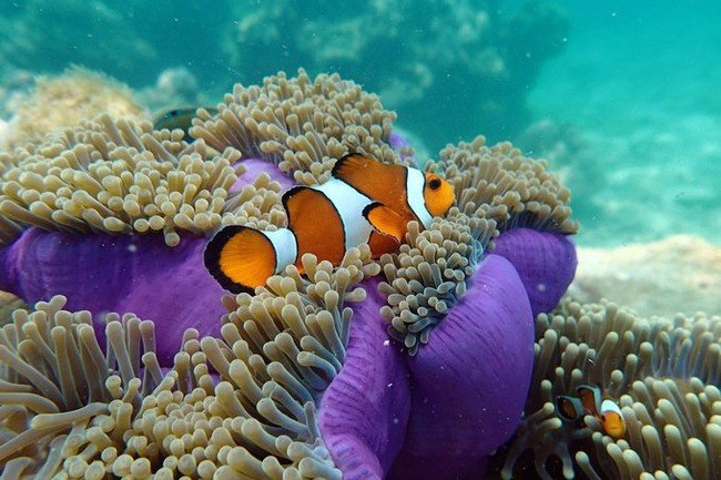 马尔代夫莉莉岛适合几月份去,马尔代夫莉莉岛旅游攻略