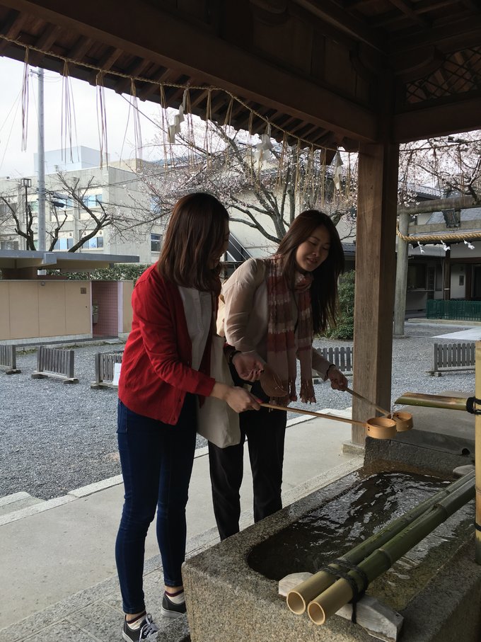 16年，关西（大阪，奈良，京都，宇治）樱花，甲子园