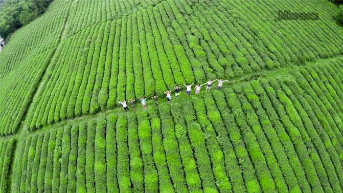 在这座神山中，我们每个人都是武林高手
