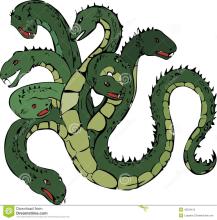 相当护士，你要有九条命！