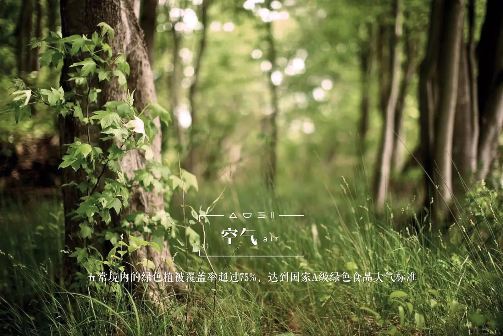 脚气病患者的福音,脚气病日本人