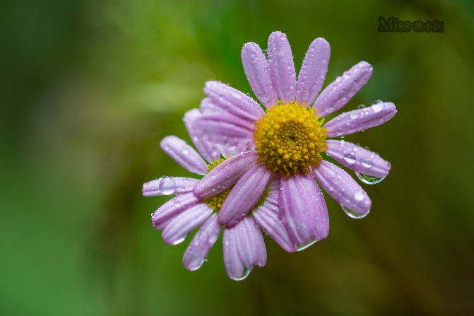 在这座神山中，我们每个人都是武林高手