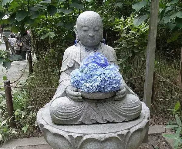 现在的日本是什么样的,现在的日本广岛什么样子