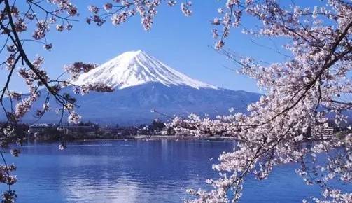 英国脱盟后的利弊,英国不欢迎去哪里旅游