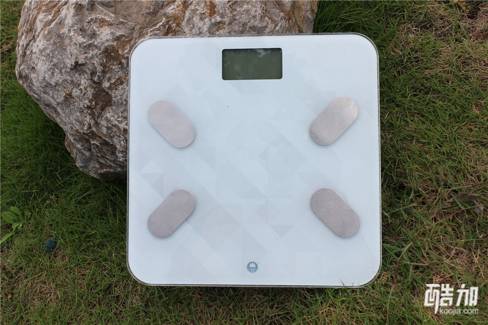 香山电子健康秤,香山智能蓝牙人体脂肪秤