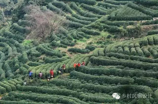 最迷人的风景令人陶醉,杭州十大秋色秘境小镇