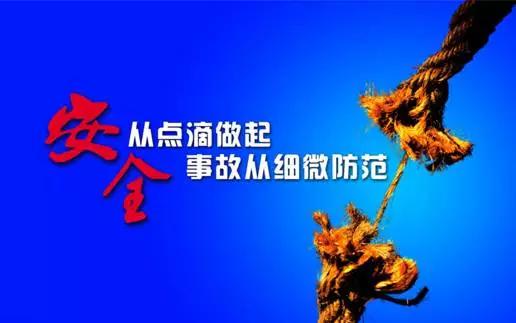 重庆崽儿与成都崽儿,重庆崽儿最新视频