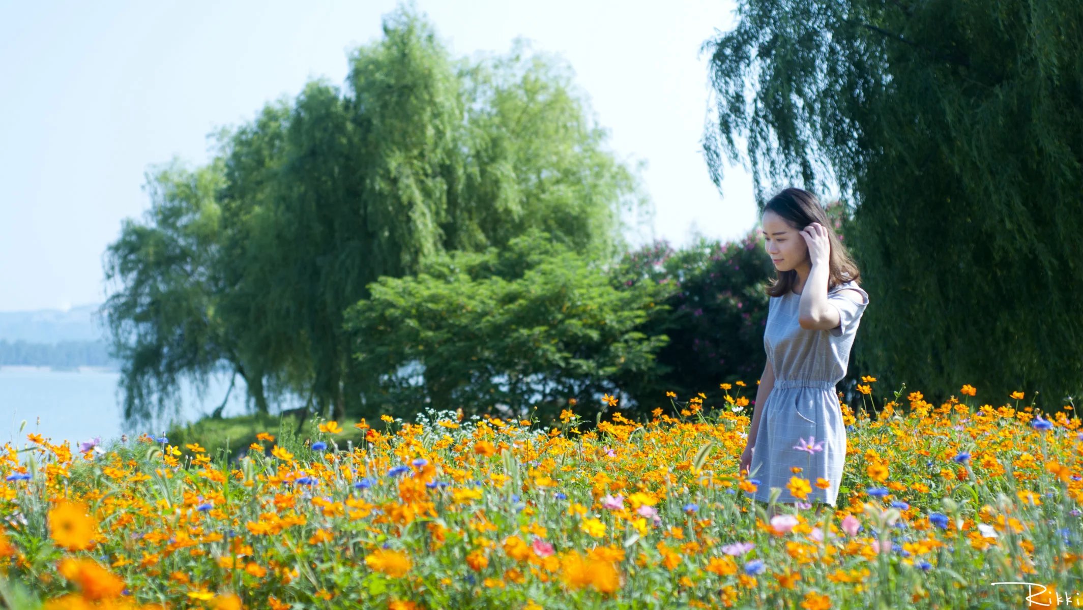 巢湖碧桂园南岸,巢湖南岸碧桂园
