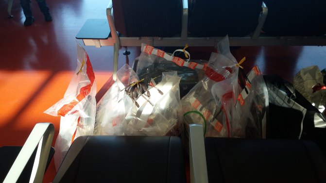 济州岛租车价格一览表,中国人如何在济州岛租车