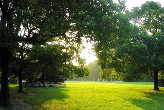 上海中山公园现在去免费吗,上海中山公园延长开放时间