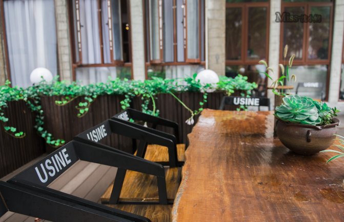 在这座神山中，我们每个人都是武林高手