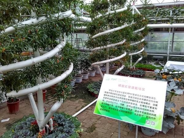 带上小蚁运动相机游潍坊（三）寿光菜博会