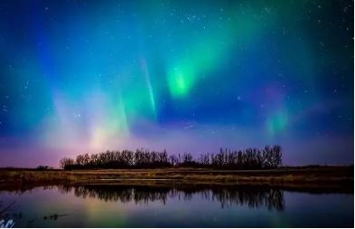 一万块钱去加拿大旅游,一元玩转十六种项目