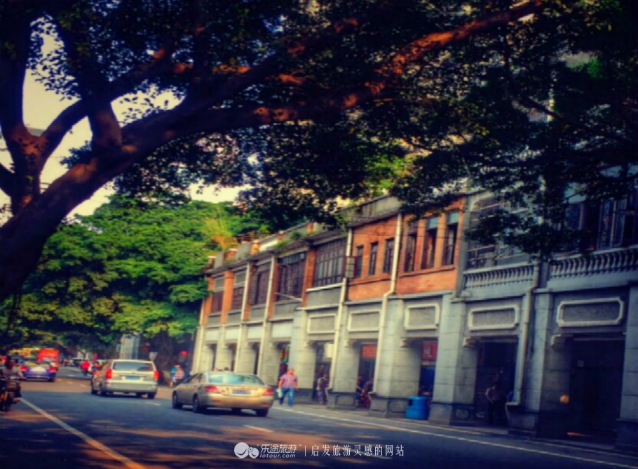 从街边小店到日本,广州最正宗的啫啫煲