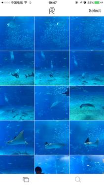 会拍照的软件,比较方便的相册软件