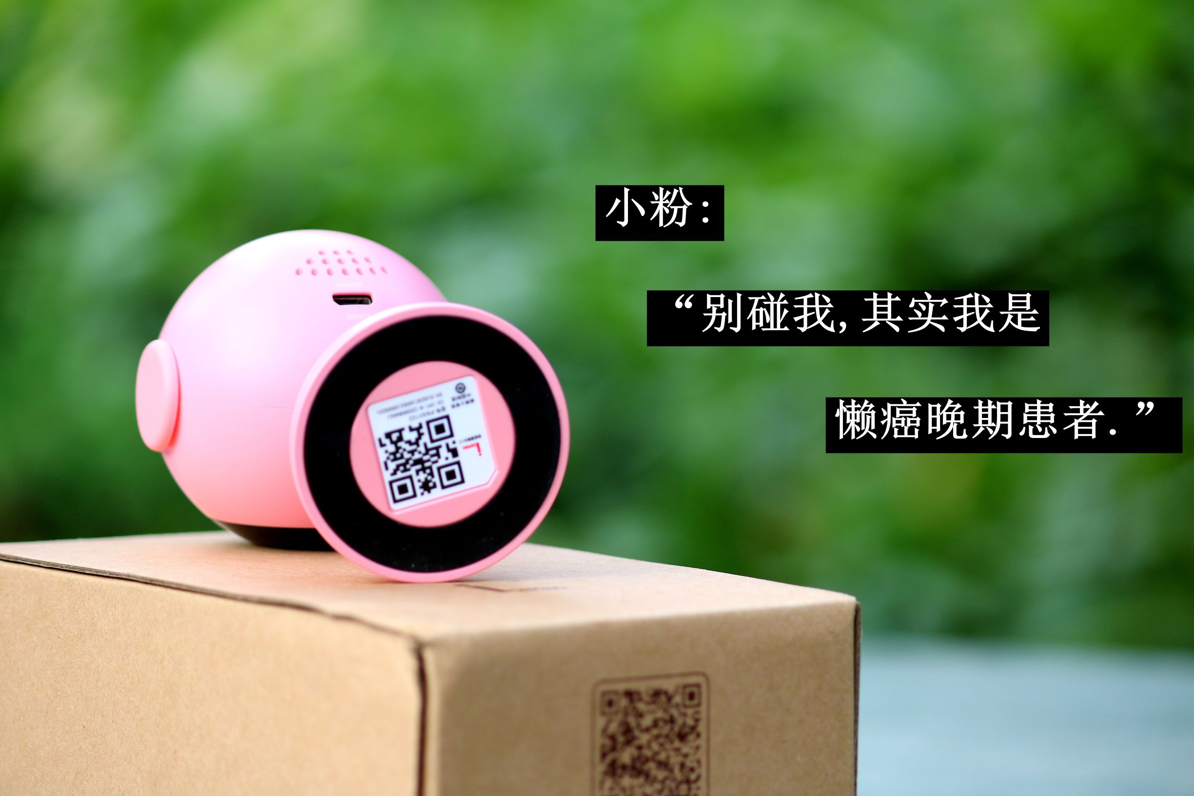 鹏博士摄像头app,鹏博士摄像头