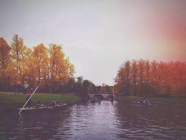 在剑桥大学读博经历,在剑桥大学是怎样的体验