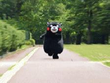 鎴垮北鍝効閫傚悎璺戞,鎴垮北鏈夌粌璺戞鐨勫湴鏂瑰悧