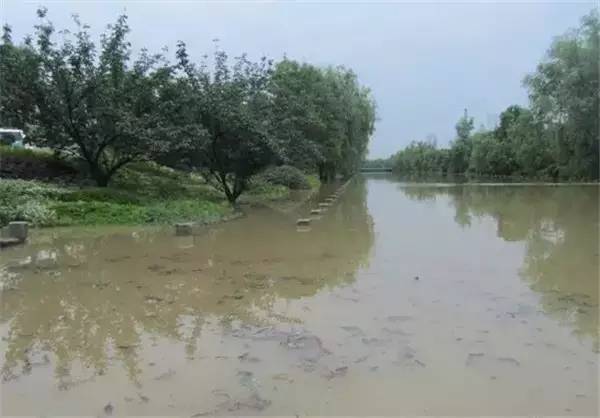 镇喜讯镇江的这波降水快要结束了！但是