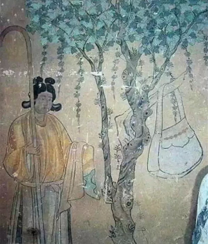 我有传家宝2019主要内容,我有传家宝2017版