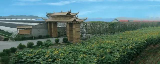 房山田园风情农业园,房山农业园