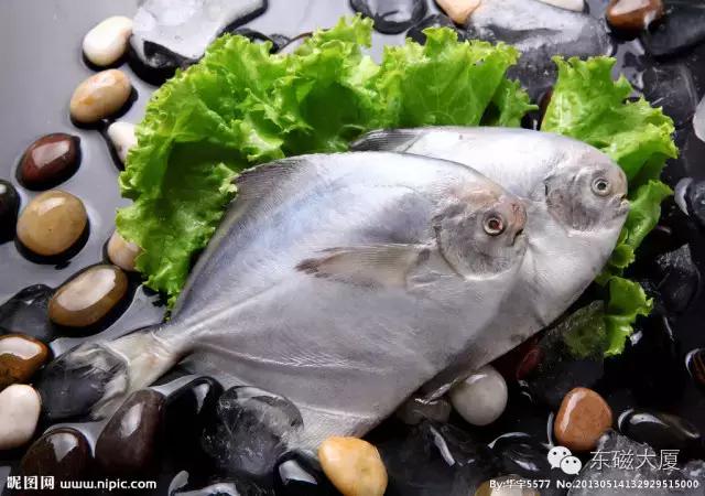 注意！麻辣酷派海鲜大咖秀重磅来袭！