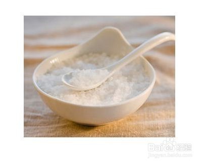 夏天，给爱鸽泡杯茶降降温吧