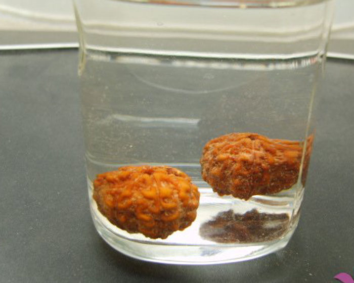 进来教你，怎么清洗金刚