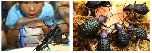 太原惊现史上最虐心的蝶萤文化节！爱我就带我去与蝶共舞、与萤作