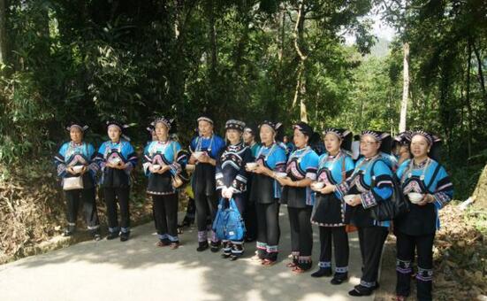 红河州少数民族最多的县市,红河州的少数民族有哪些