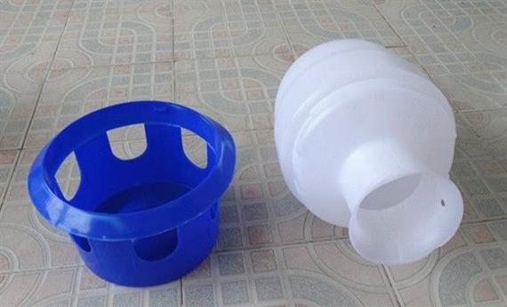 ​六大诀窍分享，盛夏时节巧防信鸽肠道疾病！