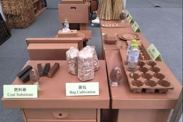 2023江苏书展,江苏书展开幕