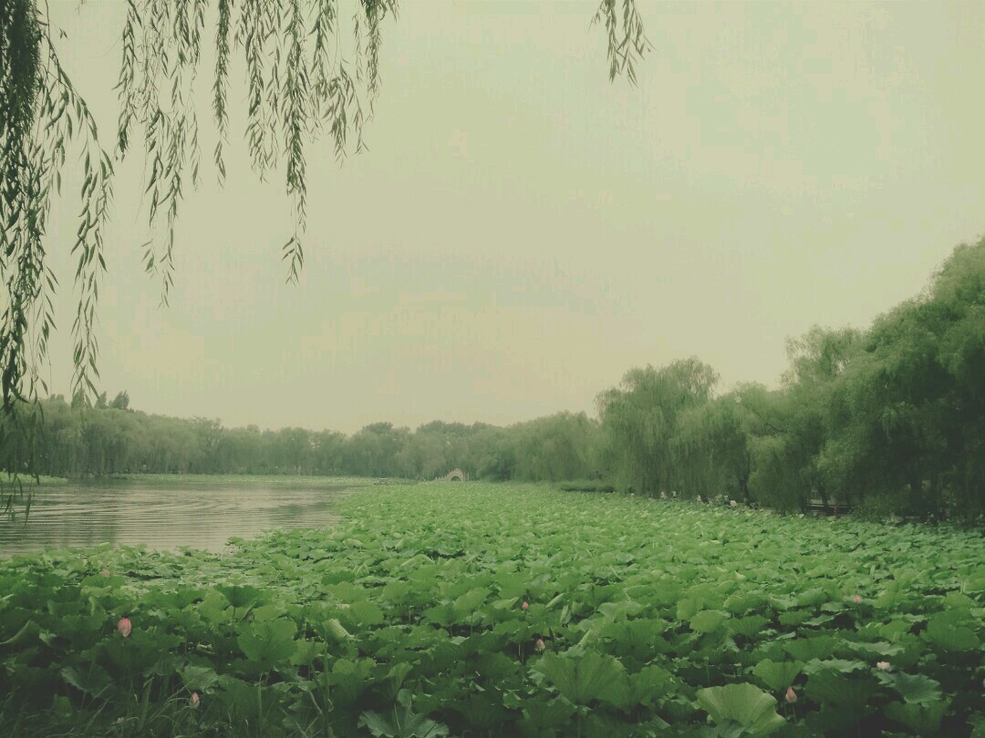 miui8相机专业模式,全方位感受身临其境