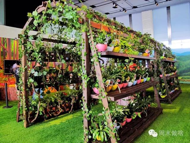 传说中的“丑萌界”鼻祖屁桃君，它终于来魔都啦！