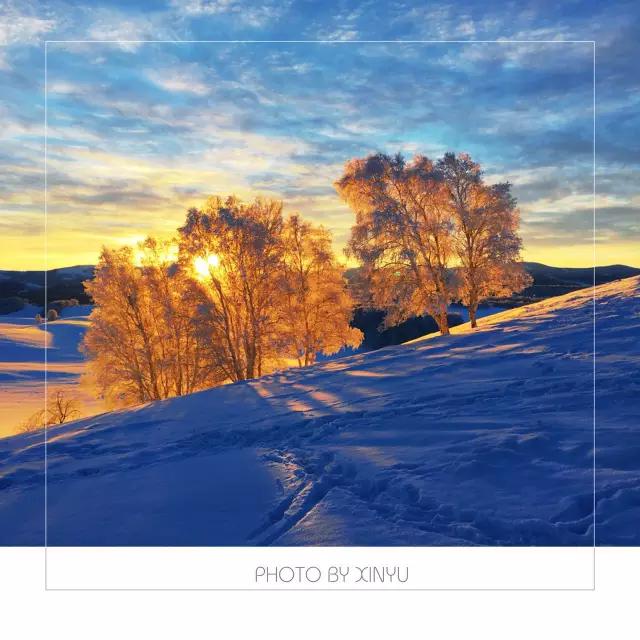 点赞他们的高光时刻,大家用手机拍出过什么好看的照片