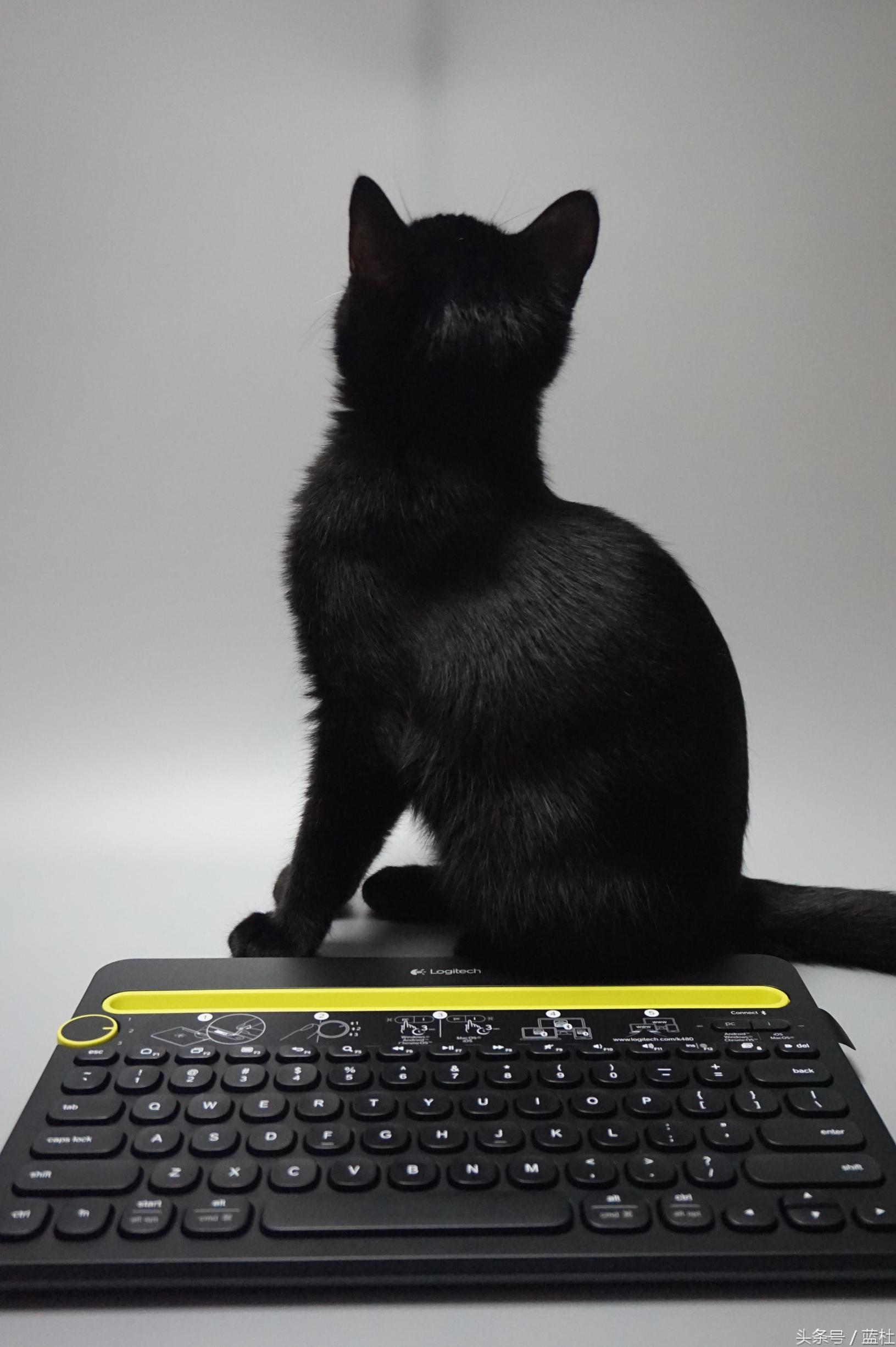 2021公认最好的蓝牙无线键盘,蓝牙键盘买折叠的还是不折叠的