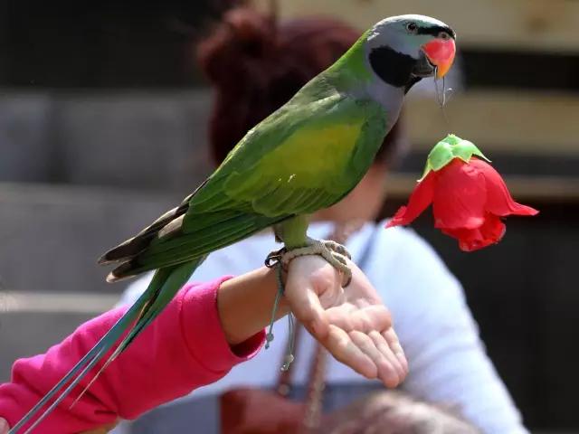 太原惊现史上最虐心的蝶萤文化节！爱我就带我去与蝶共舞、与萤作